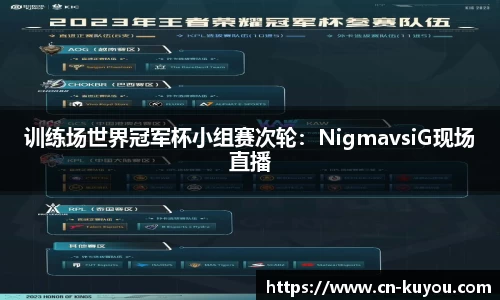 训练场世界冠军杯小组赛次轮：NigmavsiG现场直播